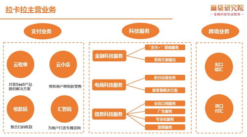 拉卡拉的信息系統集成服務 如何實現無縫協同與高效運營