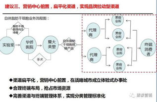 營銷策劃 連接企業(yè)、消費者與科技的橋梁